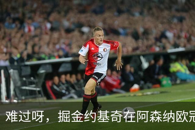 难过呀，掘金约基奇在阿森纳欧冠决赛后，加油助威的喜悦化为乌有